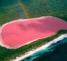 Lac roz în Australia