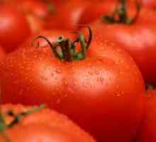 Soiurile cele mai delicioase de tomate