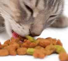 Cele mai bune produse alimentare pentru pisici
