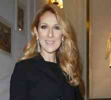 Celine Dion, Marion Cotillard si altii la spectacol o nouă colecție de christian dior