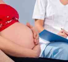 Colul uterin in timpul sarcinii - norma de săptămâni
