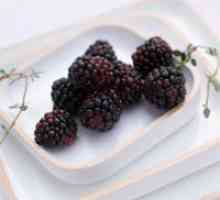 Mulberry - beneficiile si dauneaza