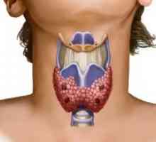 Hormonii tiroidieni -