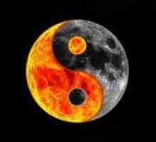 Simbolul yin-yang