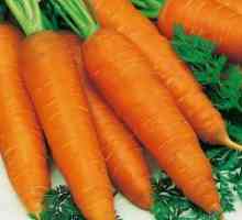 Cât de multe calorii proaspete morcovi?