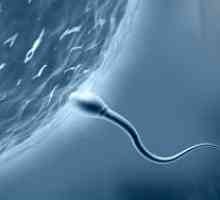 Cât timp ar trebui să o sperma pentru a ramane insarcinata?
