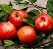 Cât de mulți carbohidrați într-un măr?