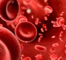 ESR în sângele unui copil: normă și patologie