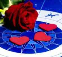 Compatibilitatea semnelor zodiacale în dragoste