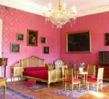 Tapet roz modern pe perete