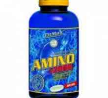 Sport Nutrition - aminoacizi