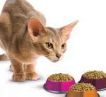 Compararea mâncare de pisici
