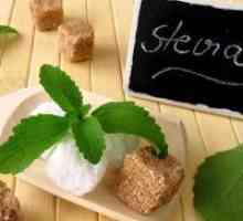 Stevia - avantaje și prejudicii