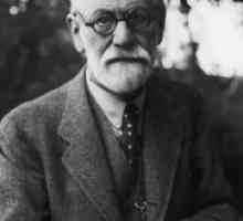 Structura psihicului conform cu Freud