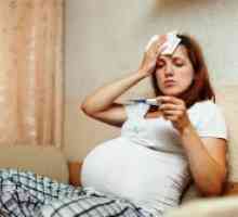 Gripa porcină la femeile gravide