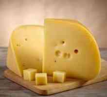 Brânză - avantaje și prejudicii