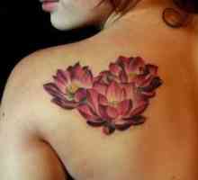 Lotus Tattoo - valoare