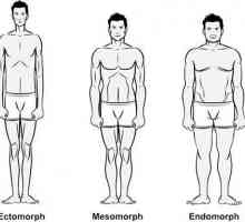 Tipuri de corp pentru bărbați și femei