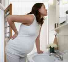 Toxemia de sarcină cu întârziere (Toxicoza târziu)