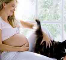 Toxoplasmoza în timpul sarcinii