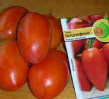 Pertsevidny tomate