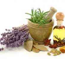 Plante medicinale pentru pierderea in greutate si curatarea organismului
