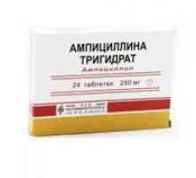 Ampicilină trihidrat