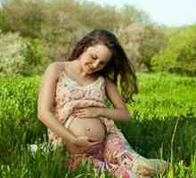 Trombocitele în timpul sarcinii: posibile probleme