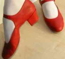 Pantofi pentru dansuri populare