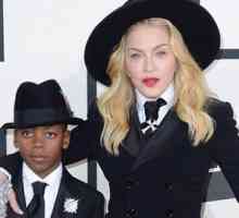 Madonna se poate ridica un alt fiu