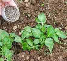 Fertilizator pentru cartofi