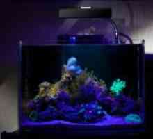 Lampă cu raze ultraviolete pentru acvarii