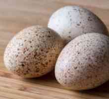 Ouă de rață - beneficii si vatamare