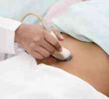 Cu ultrasunete a vezicii urinare - Prepararea