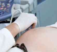 Ecografia renală în timpul sarcinii