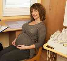 Uzi în timpul sarcinii: 32 săptămâni