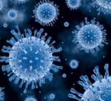 Hepatita virală - simptome