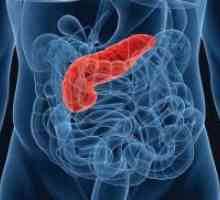 Inflamarea pancreasului - simptome