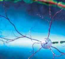 Restaurarea sistemului nervos