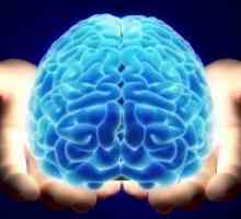 Posibilitățile ale creierului uman