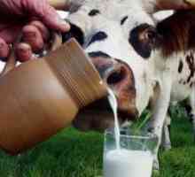 Ziua Mondială a laptelui