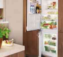 Dimensiuni - Built-in frigider