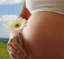 Progesteron ridicat în timpul sarcinii