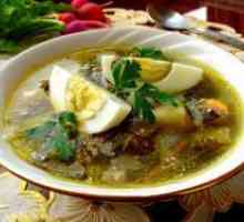 Supa verde cu măcriș - reteta