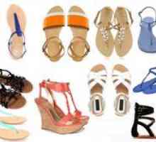 Pantofi pentru femei - vara 2014