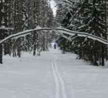 Vacanța de iarnă în Karelia
