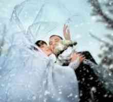 Nunta de iarna - Idei pentru sedinta foto