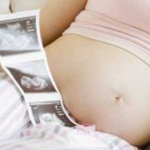 13 De săptămâni de sarcină - dimensiunea fetale