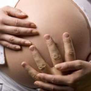 15 De săptămâni de sarcină - fetale circulație
