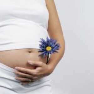 Obstetrice 16 săptămâni de sarcină